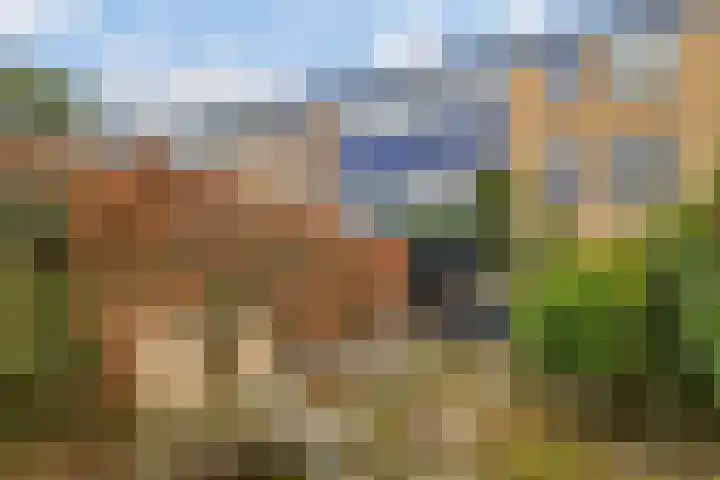 Lijzij 88 Huizen thumbnail 19
