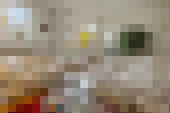 Lijzij 88 Huizen thumbnail 4