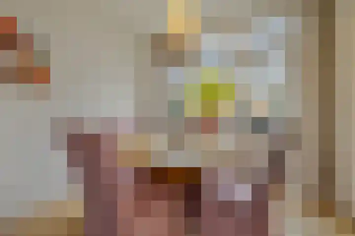 Lijzij 88 Huizen thumbnail 7
