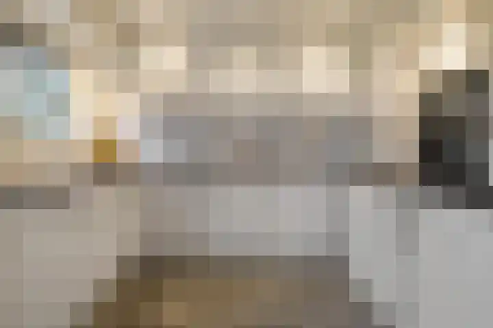 Lijzij 88 Huizen thumbnail 8