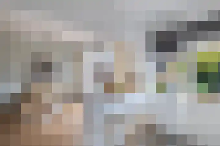 Lijzij 89 Huizen thumbnail 12