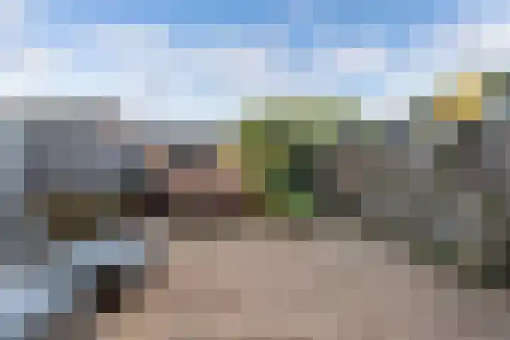 Lijzij 89 Huizen thumbnail 15