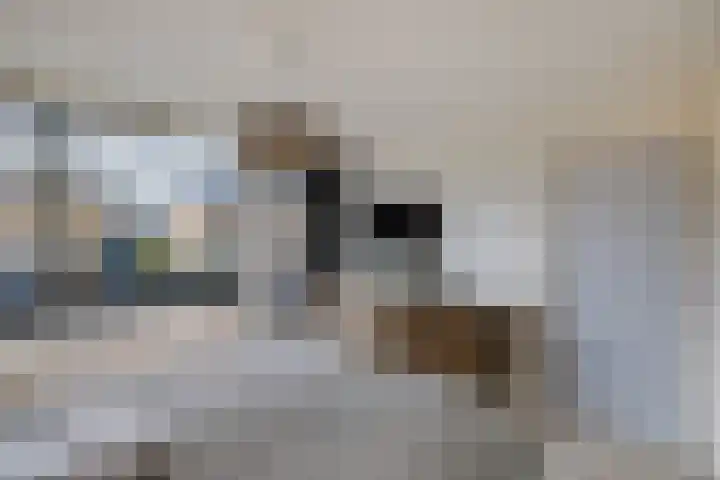 Lijzij 89 Huizen thumbnail 22