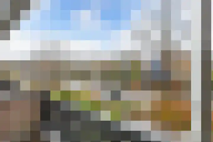 Lijzij 89 Huizen thumbnail 23