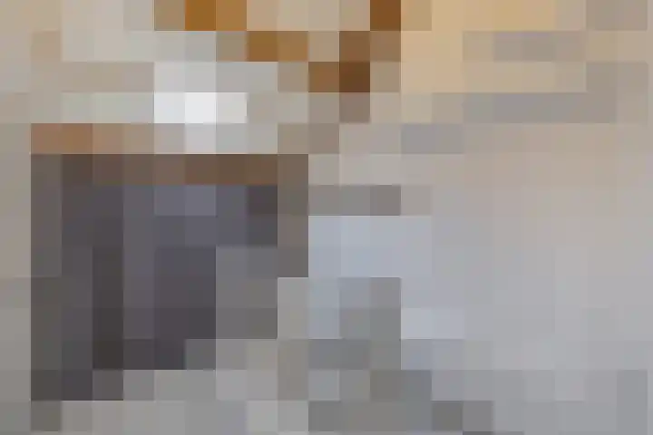 Lijzij 89 Huizen thumbnail 31