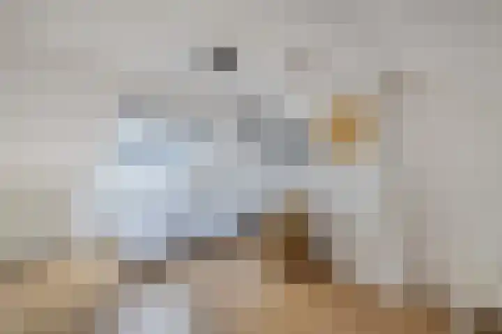 Lijzij 89 Huizen thumbnail 32