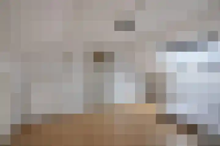 Lijzij 89 Huizen thumbnail 33