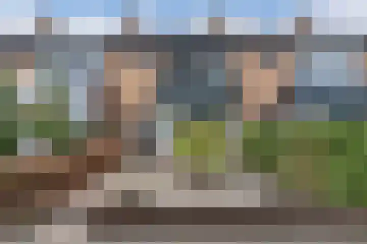Lijzij 89 Huizen thumbnail 4