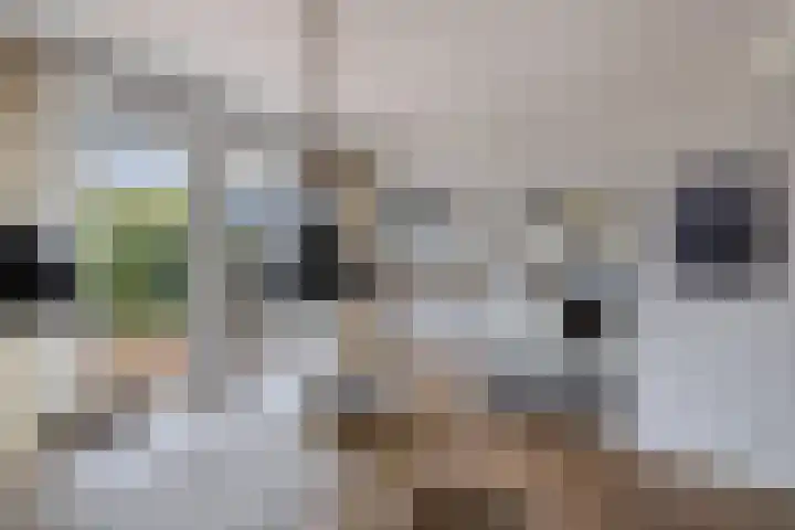 Lijzij 89 Huizen thumbnail 9