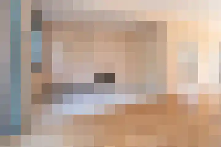 Lijzij 98 Huizen thumbnail 14