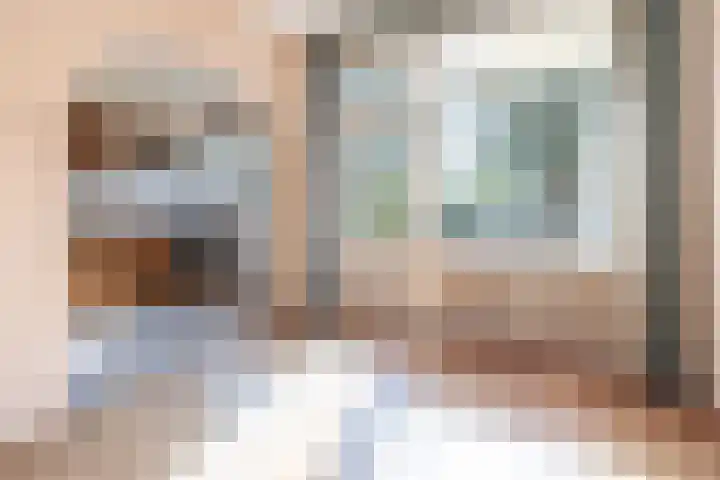 Lijzij 98 Huizen thumbnail 19