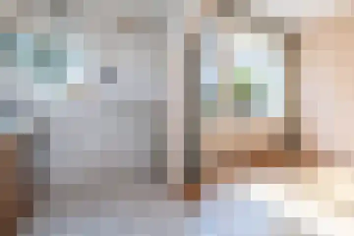 Lijzij 98 Huizen thumbnail 22