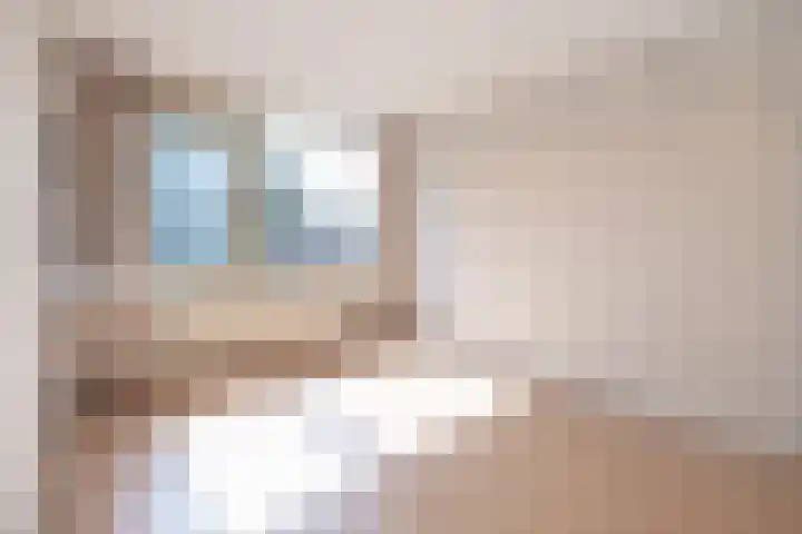 Lijzij 98 Huizen thumbnail 29