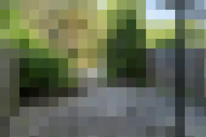 Lijzij 98 Huizen thumbnail 34