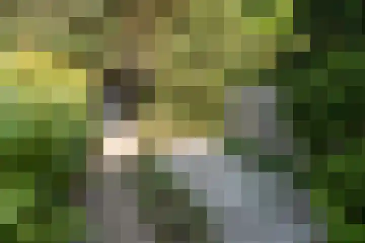 Lijzij 98 Huizen thumbnail 38