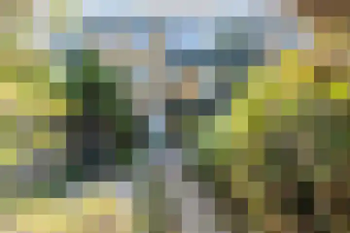 Lijzij 98 Huizen thumbnail 40
