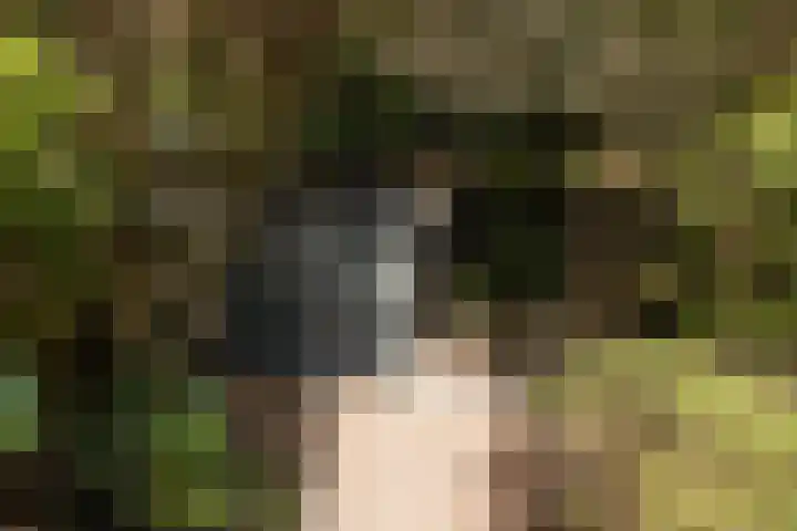 Lijzij 98 Huizen thumbnail 41