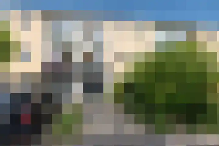 Lijzij 98 Huizen thumbnail 44