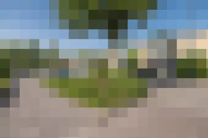 Lijzij 98 Huizen thumbnail 46