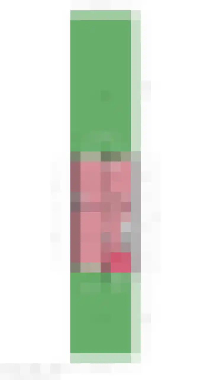 Lijzij 98 Huizen thumbnail 51
