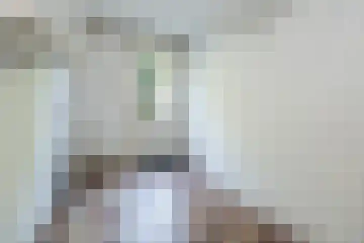 Lijzij 98 Huizen thumbnail 9