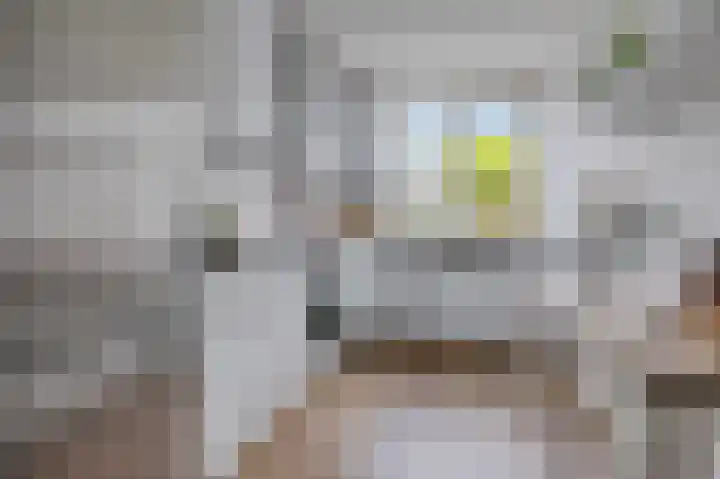 Lijzijde 11 Amersfoort thumbnail 13