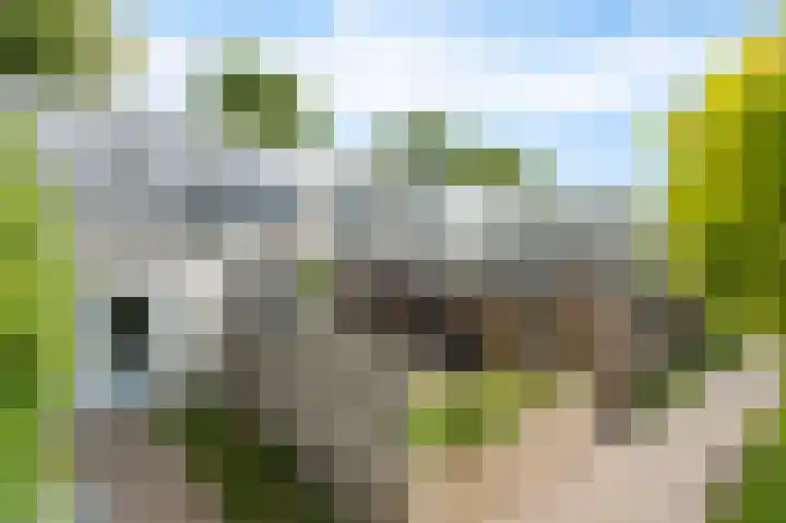 Lijzijde 11 Amersfoort thumbnail 37