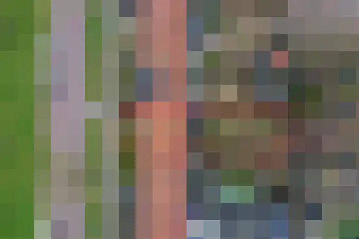 Lijzijde 120 Dronten thumbnail 28
