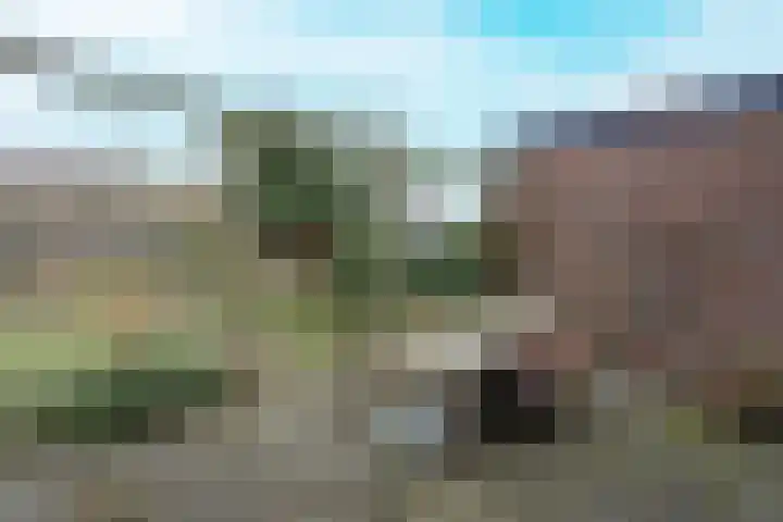 Lijzijde 120 Dronten thumbnail 29