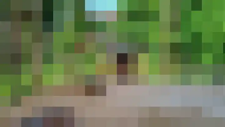 Lijzijde 120 Dronten thumbnail 31