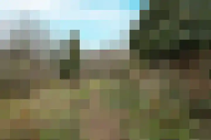 Lijzijde 120 Dronten thumbnail 32