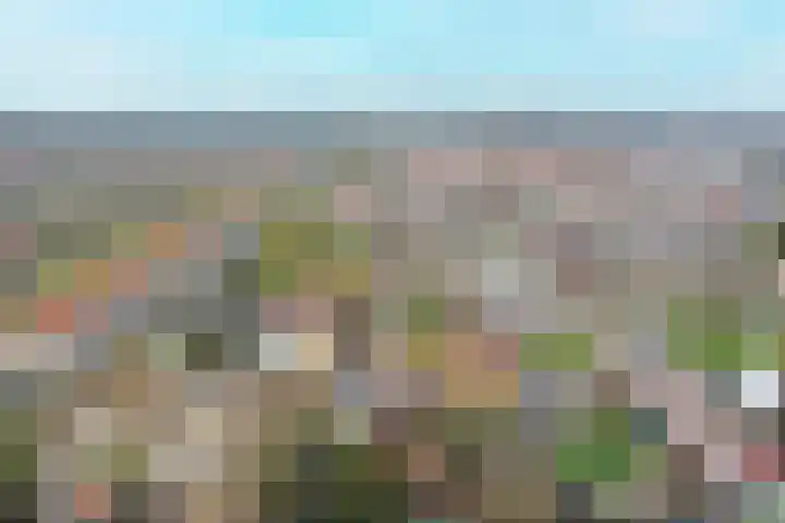 Lijzijde 120 Dronten thumbnail 36