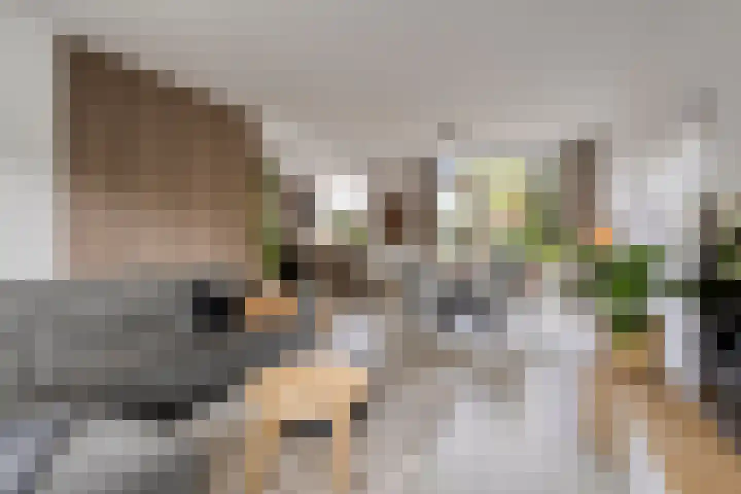 Lijzijde 128 Dronten thumbnail 11