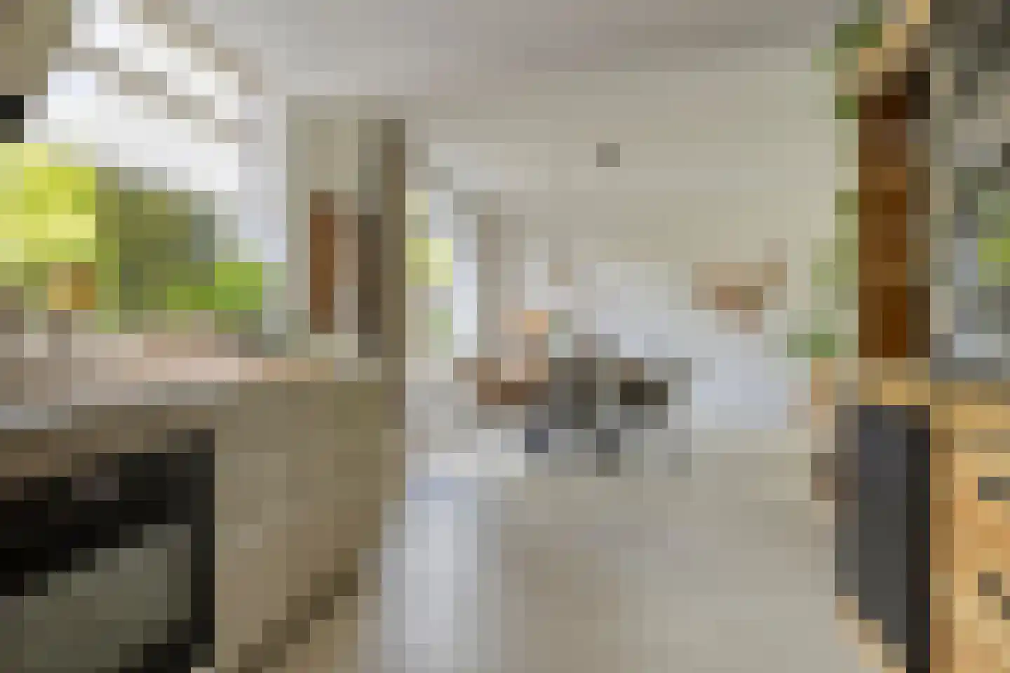 Lijzijde 128 Dronten thumbnail 13