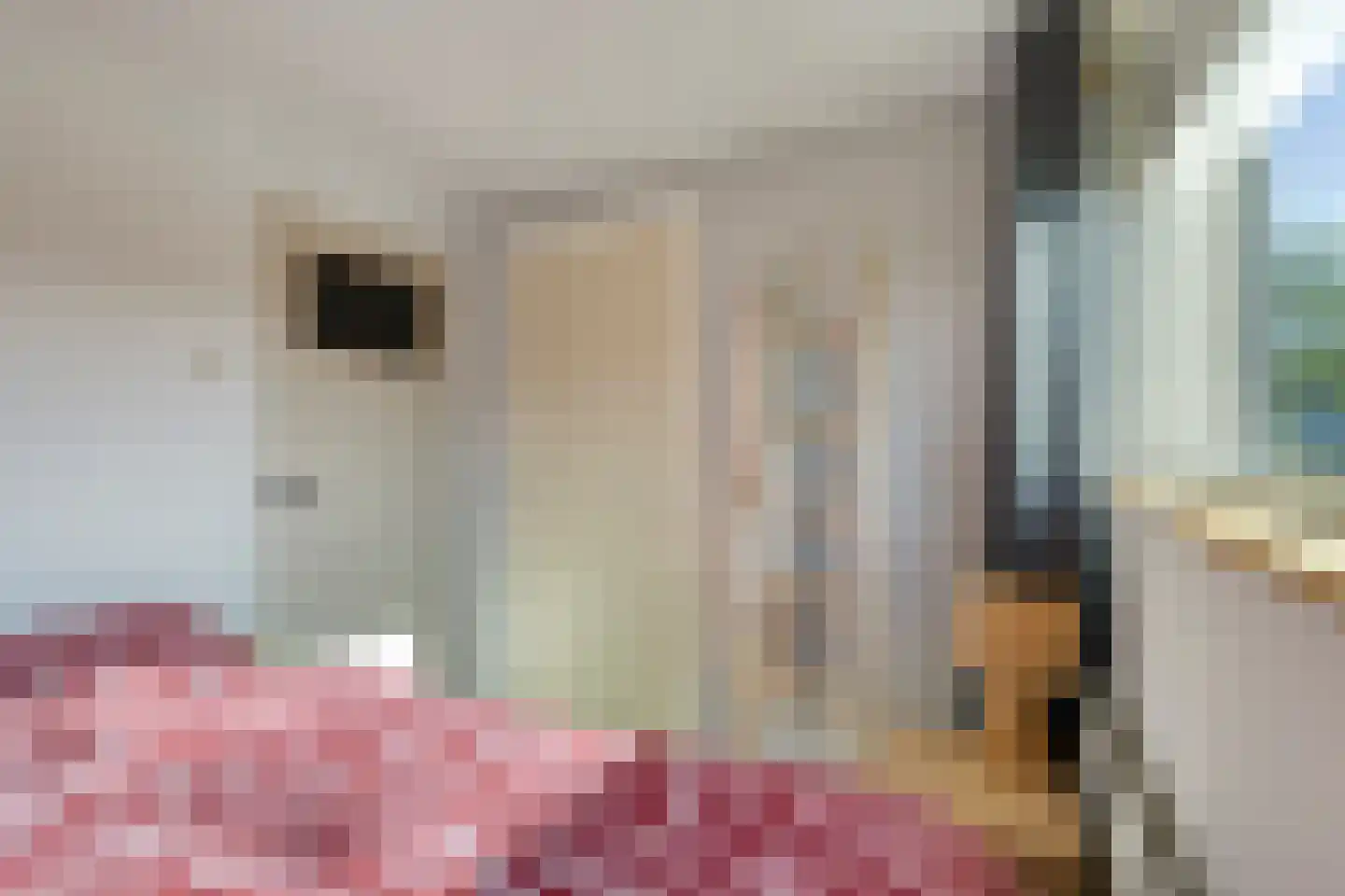 Lijzijde 128 Dronten thumbnail 23