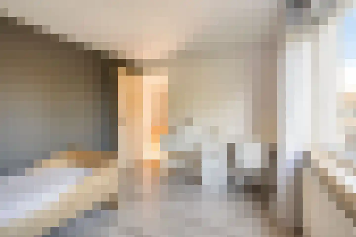 Lijzijde 128 Dronten thumbnail 24