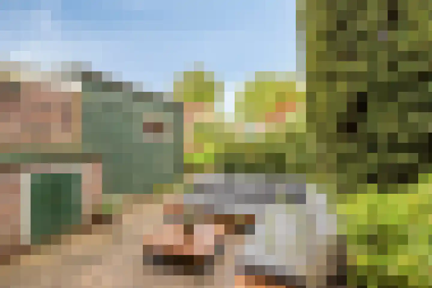 Lijzijde 128 Dronten thumbnail 35