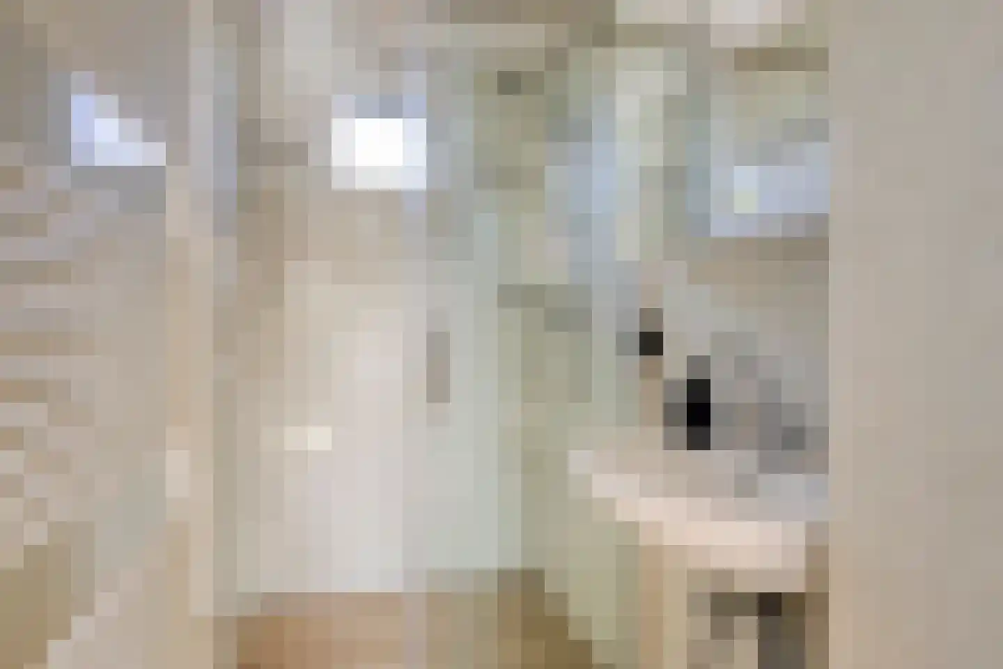 Lijzijde 128 Dronten thumbnail 4