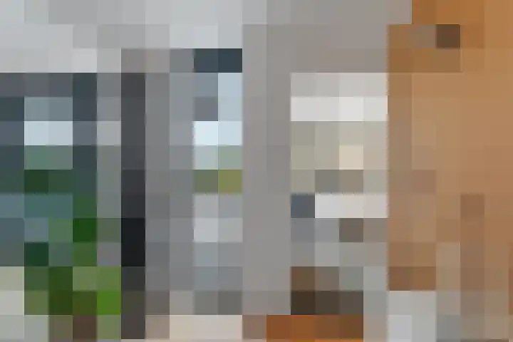 Lijzijde 26 Almere thumbnail 14