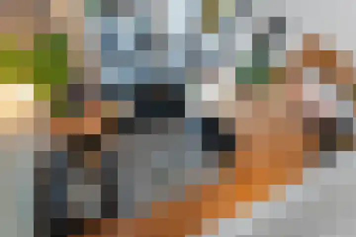 Lijzijde 26 Almere thumbnail 38