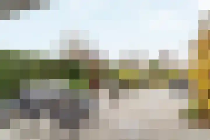 Lijzijde 26 Almere thumbnail 63