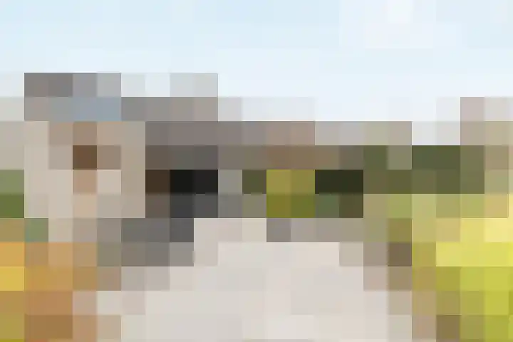 Lijzijde 26 Almere thumbnail 66