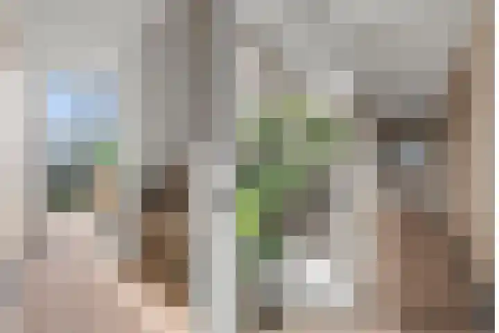 Lijzijde 27 Amersfoort thumbnail 18