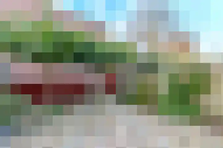 Lijzijde 28 Amsterdam thumbnail 11