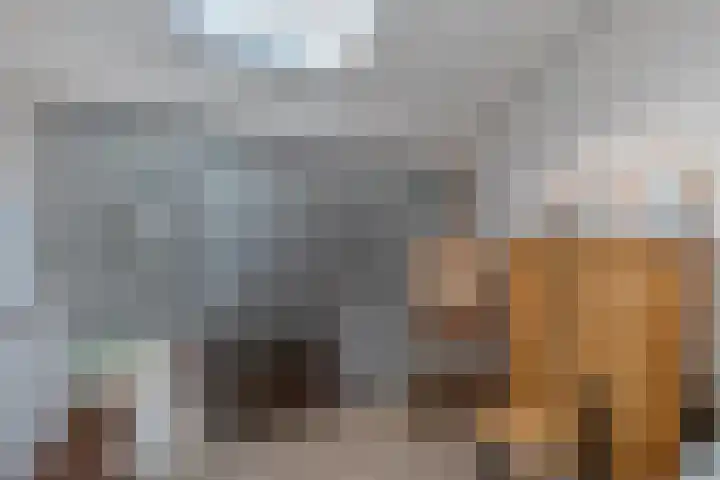 Lijzijde 28 Amsterdam thumbnail 20