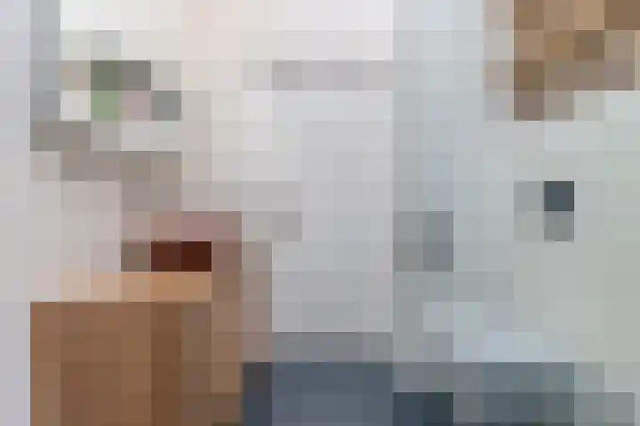Lijzijde 28 Amsterdam thumbnail 24