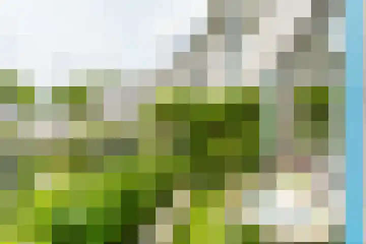 Lijzijde 33 Amersfoort thumbnail 14