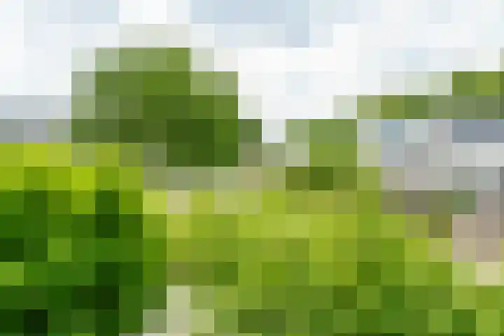 Lijzijde 33 Amersfoort thumbnail 16