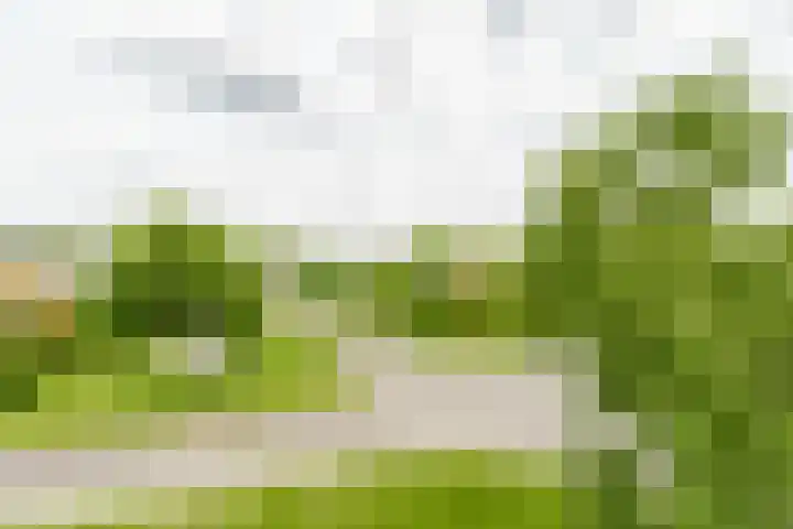 Lijzijde 33 Amersfoort thumbnail 17