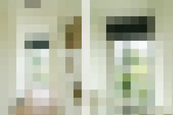 Lijzijde 33 Amersfoort thumbnail 23